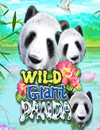 ทำไมต้องลองเล่น สล็อตx0 ที่คนไทยชอบ